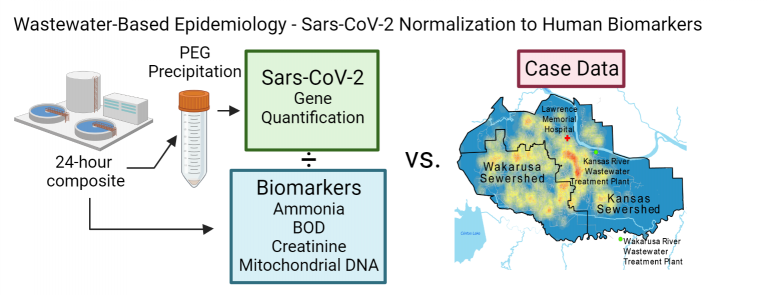 Wastewater-based epidemiology infographic