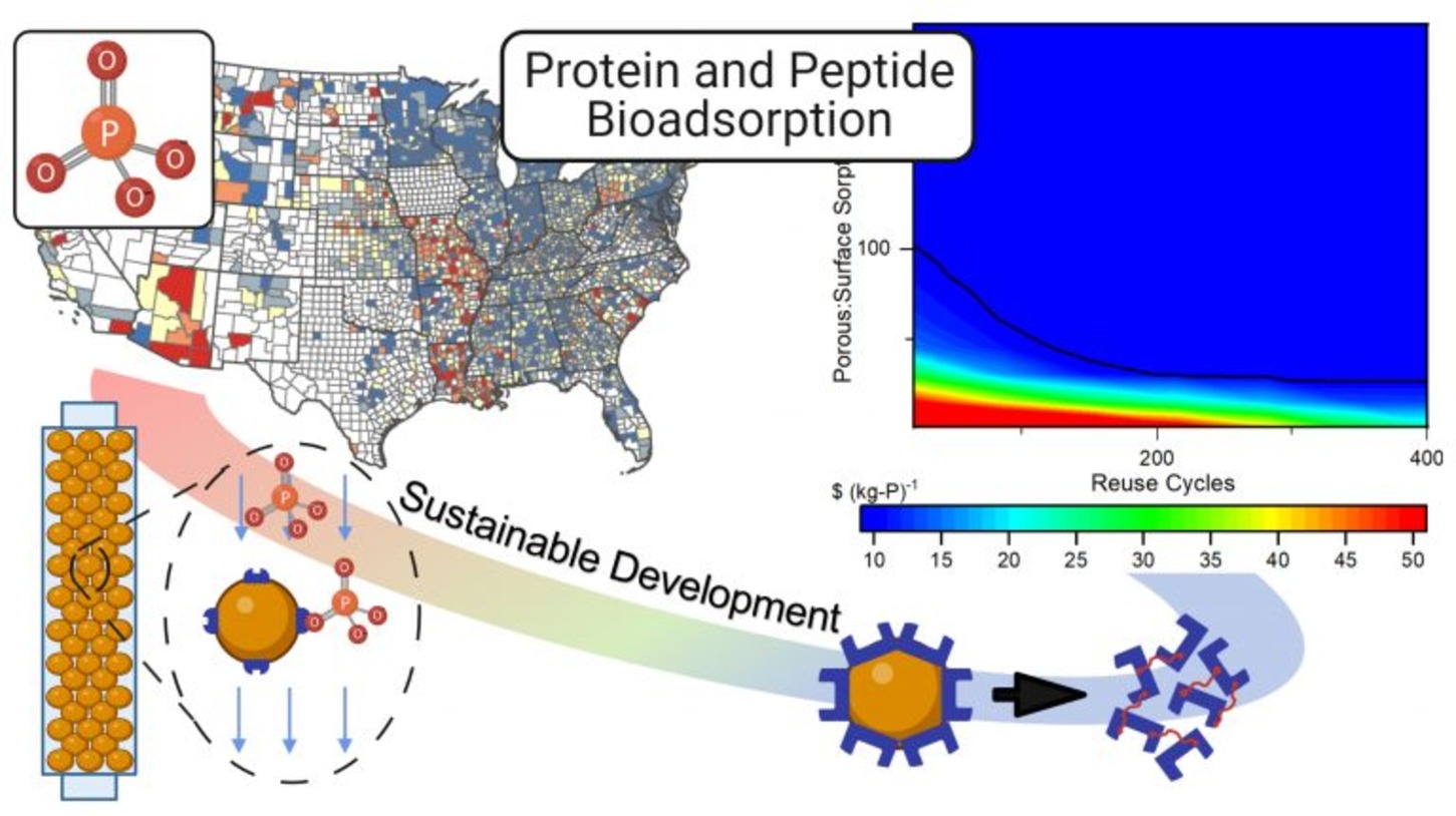 Protein and peptide bioadsorption with a heatmap of U.S. counties